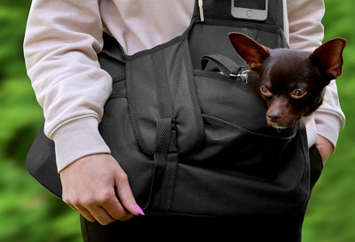 Beverly Hills dog carry bag, size M