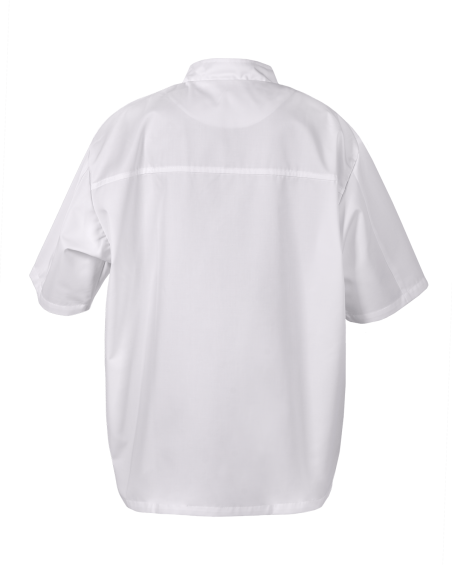 Bluza męska 3677 – Krótki Rękaw KBT - tył