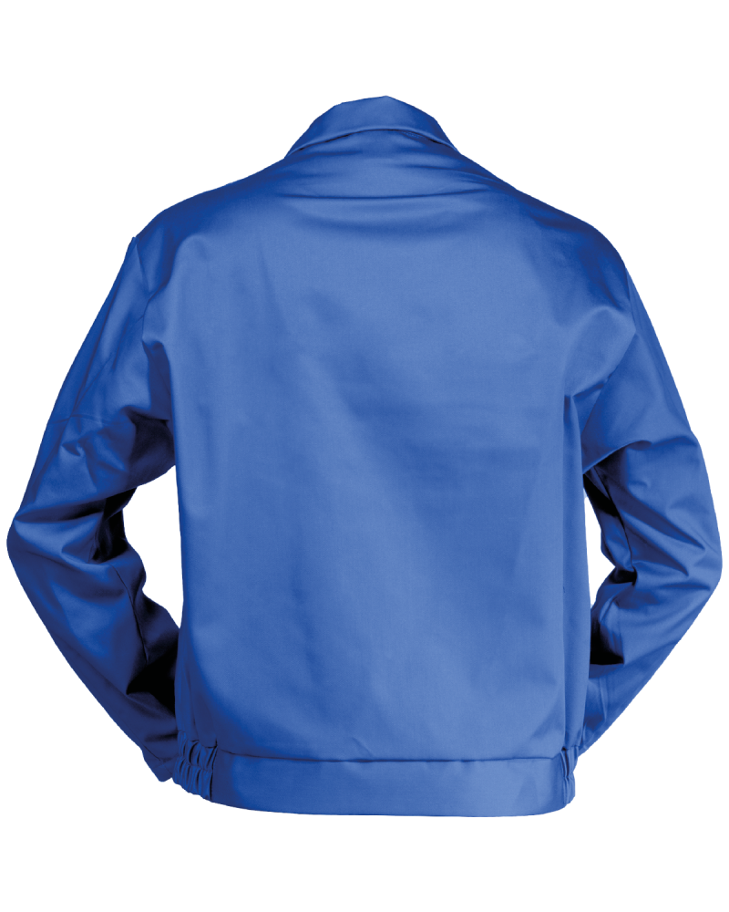 Bluza classic Kneiter, niebieska - tył bluzy