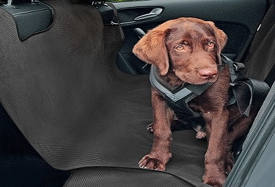 Protective cover L for dog tranporting ALEX